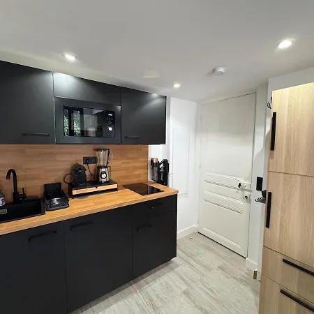 Appartement Elegant With Mezzanine, Center