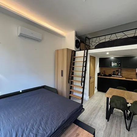 Elegant With Mezzanine, Center Antibes